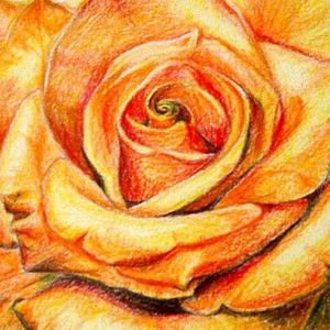 Meet your Posher, Amelia